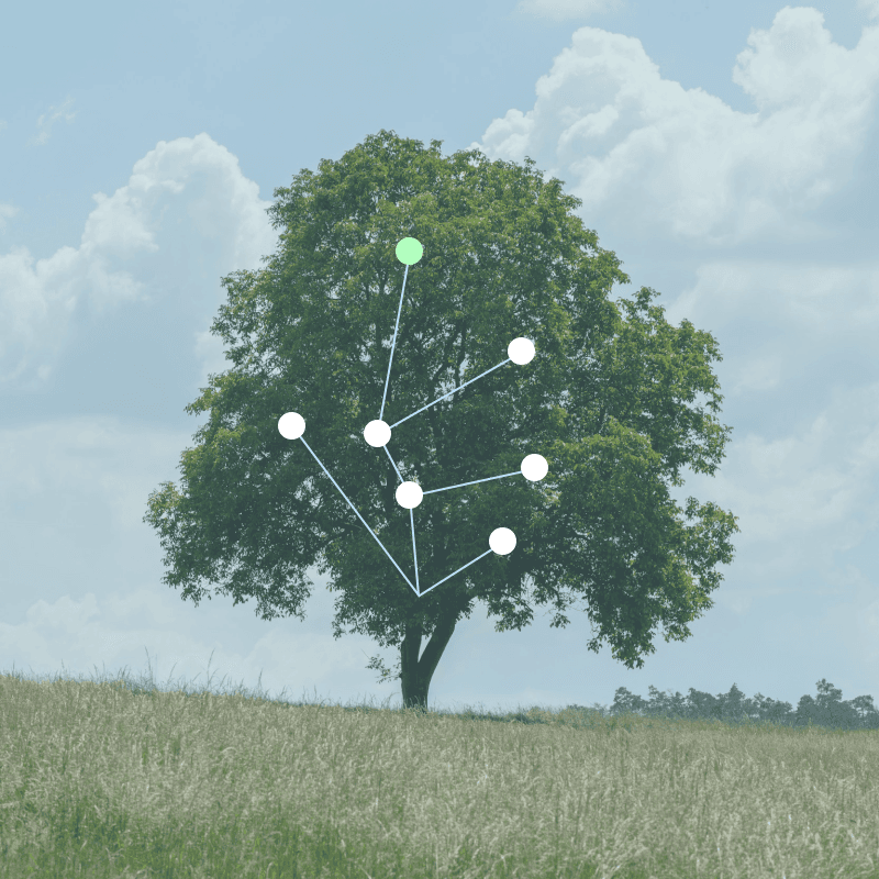 A single tree, gifts branching outward